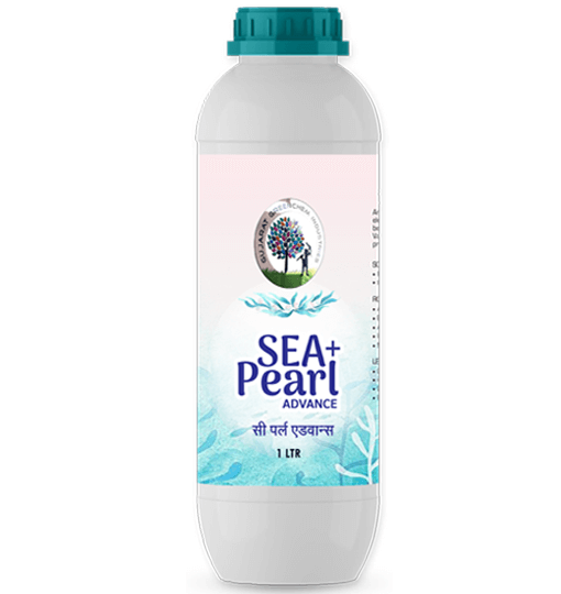 Sea+ Pearl Advance