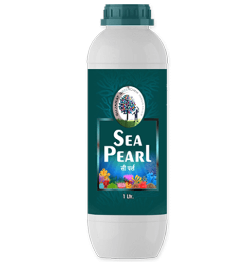 Sea Pearl