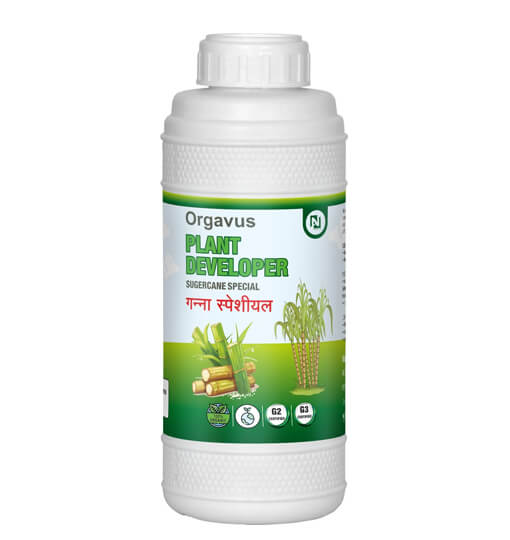 Sugarcane Specialist